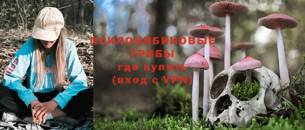 герыч Вяземский