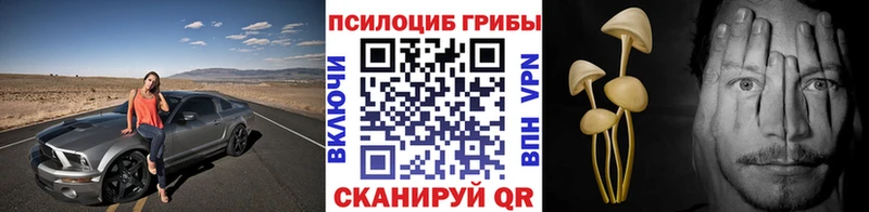 Купить где  Печора  Псилоцибиновые грибы мицелий 